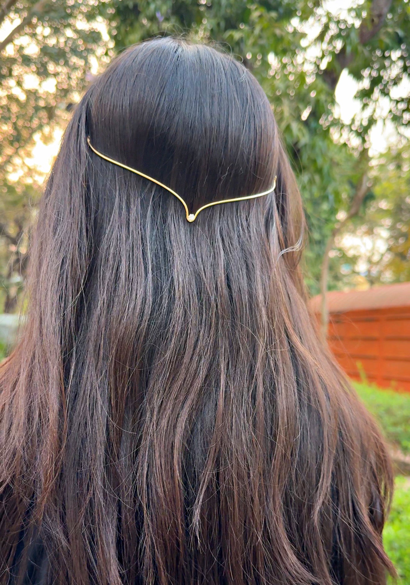 Hair crown ✨