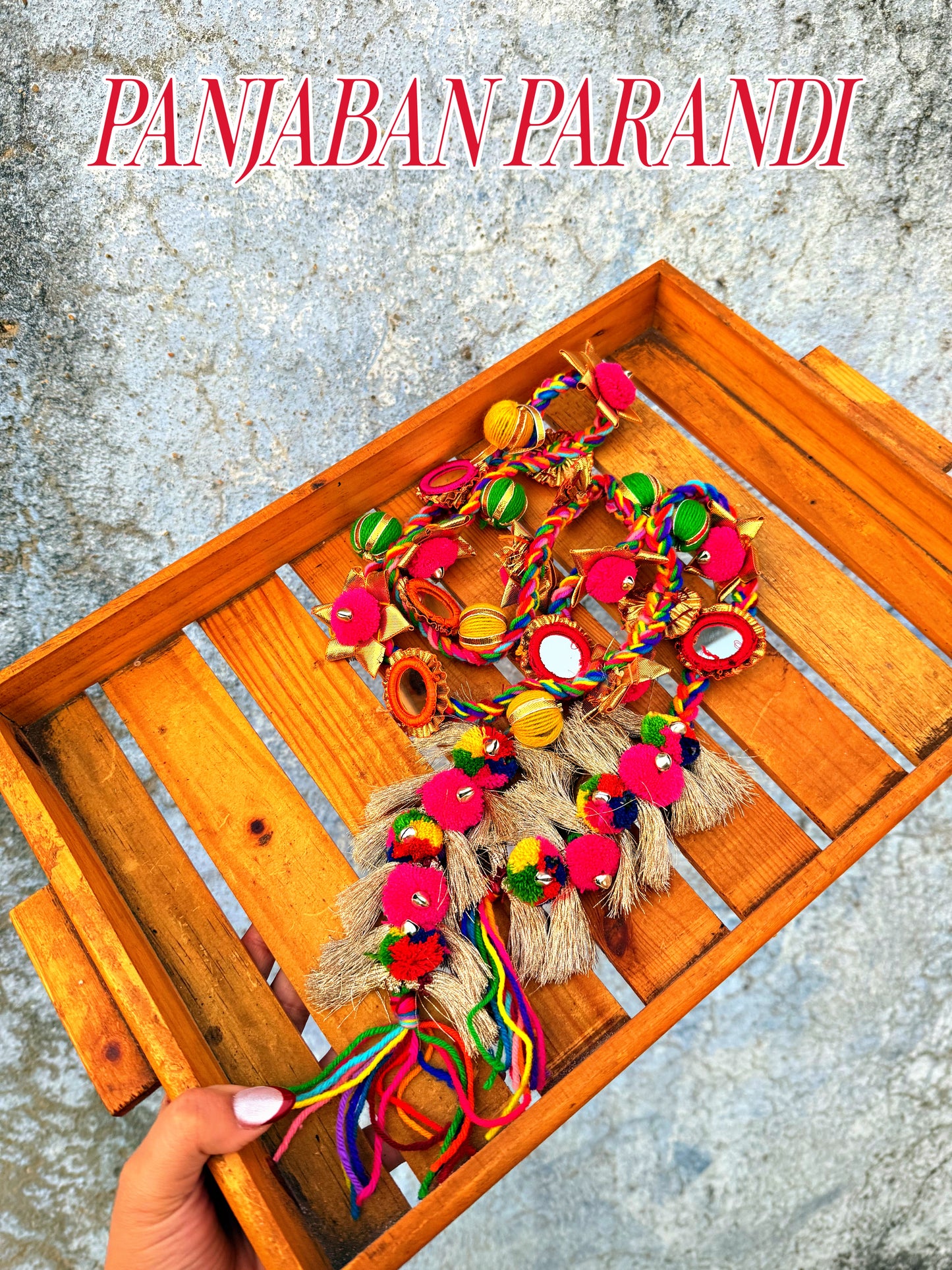 PUNJABAN PARANDI ✨