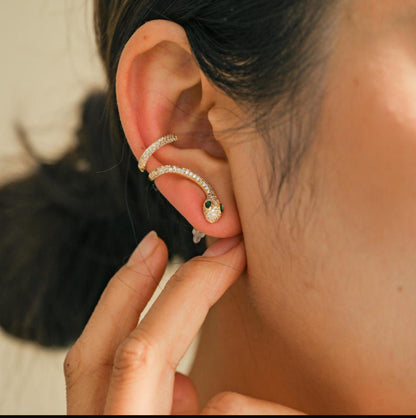 Snake earrings ✨