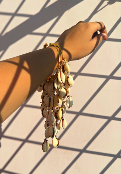 THE SHELL KAALEREIN 🐚✨