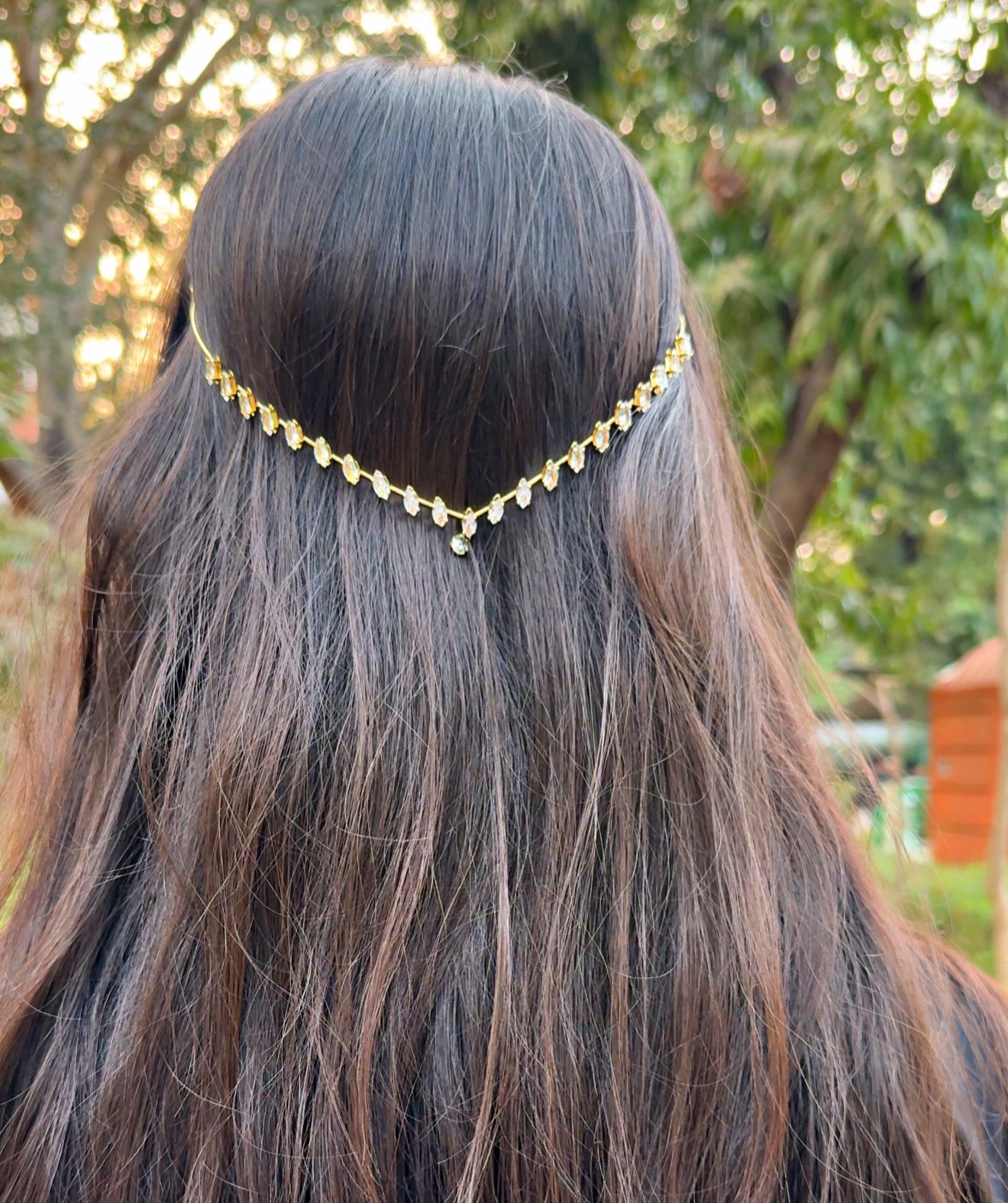 Hair crown ✨